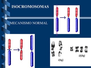 ISOCROMOSOMAS
MECANISMO NORMAL
 