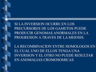 SI LA INVERSION OCURRE EN LOS
PRECURSORES DE LOS GAMETOS PUEDE
PRODUCIR GENOMAS ANORMALES EN LA
PROGRESION A TRAVES DE LA MEIOSIS.
LA RECOMBINACION ENTRE HOMOLOGOS EN
EL CUAL UNO DE ELLOS TENGA UNA
INVERSION Y EL OTRO NO PUEDE RESULTAR
EN ANOMALIAS CROMOSOMICAS
 