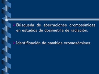 Búsqueda de aberraciones cromosómicas
en estudios de dosimetría de radiación.
Identificación de cambios cromosómicos
 