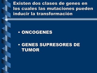 Existen dos clases de genes en
los cuales las mutaciones pueden
inducir la transformación
• ONCOGENES
• GENES SUPRESORES DE
TUMOR
 