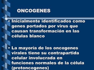 ONCOGENES
• Inicialmente identificados como
genes portados por virus que
causan transformación en las
células blanco
• La mayoría de los oncogenes
virales tiene su contrapartida
celular involucrada en
funciones normales de la célula
(protoncogenes)
 