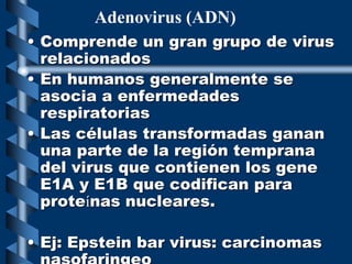 • Comprende un gran grupo de virus
relacionados
• En humanos generalmente se
asocia a enfermedades
respiratorias
• Las células transformadas ganan
una parte de la región temprana
del virus que contienen los gene
E1A y E1B que codifican para
proteínas nucleares.
• Ej: Epstein bar virus: carcinomas
Adenovirus (ADN)
 