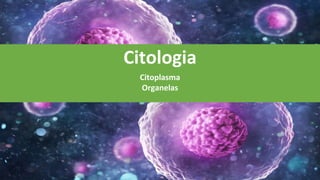 Citologia
Citoplasma
Organelas
 