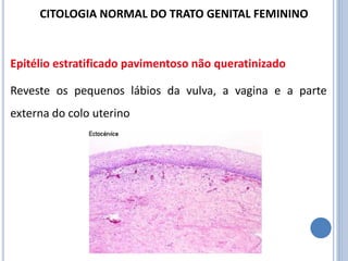 Epitélio estratificado pavimentoso não queratinizado
Reveste os pequenos lábios da vulva, a vagina e a parte
externa do colo uterino
CITOLOGIA NORMAL DO TRATO GENITAL FEMININO
 