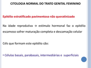 Na idade reprodutiva  estímulo hormonal faz o epitélio
escamoso sofrer maturação completa e descamação celular
Céls que formam este epitélio são:
• Células basais, parabasais, intermediárias e superficiais
Epitélio estratificado pavimentoso não queratinizado
CITOLOGIA NORMAL DO TRATO GENITAL FEMININO
 