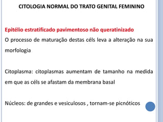 O processo de maturação destas céls leva a alteração na sua
morfologia
Citoplasma: citoplasmas aumentam de tamanho na medida
em que as céls se afastam da membrana basal
Núcleos: de grandes e vesiculosos , tornam-se picnóticos
Epitélio estratificado pavimentoso não queratinizado
CITOLOGIA NORMAL DO TRATO GENITAL FEMININO
 