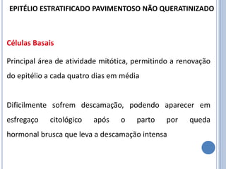 Células Basais
Principal área de atividade mitótica, permitindo a renovação
do epitélio a cada quatro dias em média
Dificilmente sofrem descamação, podendo aparecer em
esfregaço citológico após o parto por queda
hormonal brusca que leva a descamação intensa
EPITÉLIO ESTRATIFICADO PAVIMENTOSO NÃO QUERATINIZADO
 