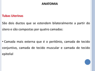 São dois ductos que se estendem bilateralmente a partir do
útero e são compostas por quatro camadas:
• Camada mais externa que é o peritônio, camada de tecido
conjuntivo, camada de tecido muscular e camada de tecido
epitelial
Tubas Uterinas
ANATOMIA
 