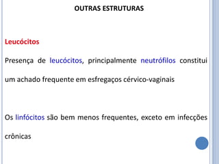 Presença de leucócitos, principalmente neutrófilos constitui
um achado frequente em esfregaços cérvico-vaginais
Os linfócitos são bem menos frequentes, exceto em infecções
crônicas
Leucócitos
OUTRAS ESTRUTURAS
 
