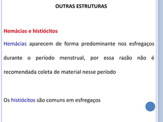 Hemácias aparecem de forma predominante nos esfregaços
durante o período menstrual, por essa razão não é
recomendada coleta de material nesse período
Os histiócitos são comuns em esfregaços
Hemácias e histiócitos
OUTRAS ESTRUTURAS
 