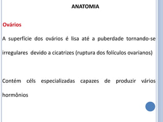 A superfície dos ovários é lisa até a puberdade tornando-se
irregulares devido a cicatrizes (ruptura dos folículos ovarianos)
Contém céls especializadas capazes de produzir vários
hormônios
Ovários
ANATOMIA
 