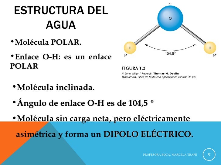 2° clase equilibrio químico+agua