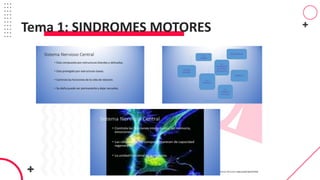Tema 1: SINDROMES MOTORES
 