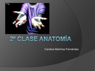 2º clase anatomía Carolina Martínez Fernández 