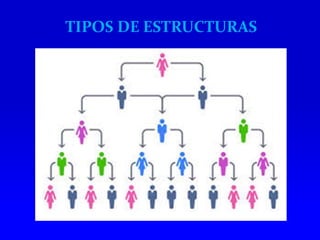 TIPOS DE ESTRUCTURAS
 