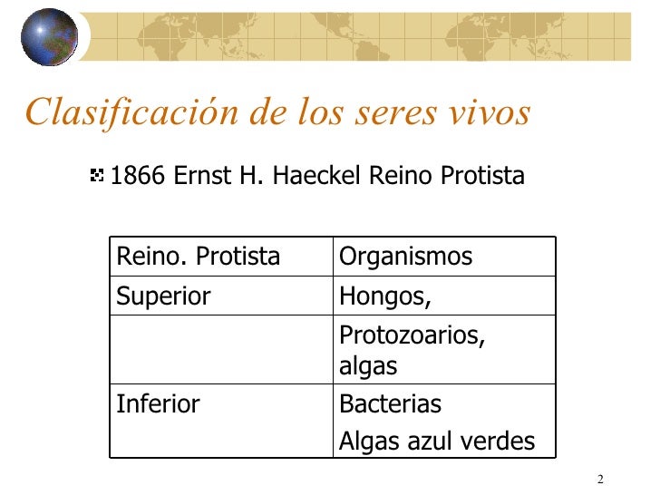 2 clasificación de los_seres_vivo_spr09
