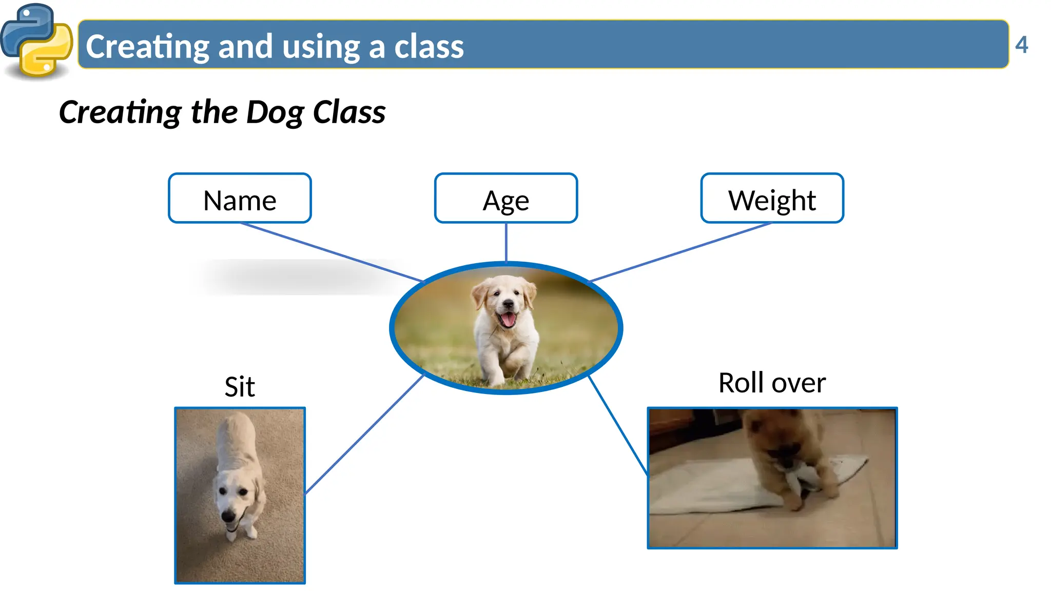4
Creating the Dog Class
Creating and using a class
Name Age Weight
Sit Roll over
 