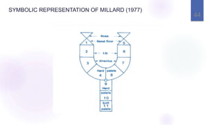 SYMBOLIC REPRESENTATION OF MILLARD (1977)
44
 