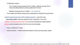 • In following 2 weeks –
• The 2 medial nasal processes fuse in midline –globular process-Tip of
nose,columella,prolabium,primary palate with 4 incisor
• Maxillary processes fuse in midline – rest of upper lip
• The maxillary and lateral nasal process separated by nasolacrimal groove/duct
Lateral nasal process join with maxillary process – ala of the nose
Secondary palate –becomes apparent when outgrowths occur from
maxillary prominences around 6th week of human development called palatine
shelves and the shelves fuse to form the hard and soft palate
• Fuse in midline at 7th week
• Incisive foramen – midline landmark between primary and secondary palate
10
Thronton JB, Nimer S and Howrd P.The incidence, classification, etiology and embryology of oral clefts. Semin Orthod 1996;2:162-168
 