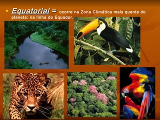 • EquatorialEquatorial == ocorre na Zona Climática mais quente do
planeta: na linha do Equador.
 