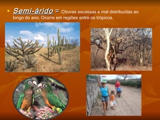 • Semi-áridoSemi-árido == Chuvas escassas e mal distribuídas ao
longo do ano. Ocorre em regiões entre os trópicos.
 