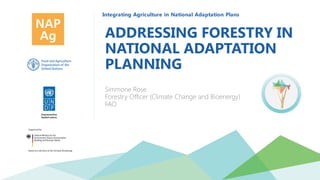 Integrating Agriculture in National Adaptation Plans
ADDRESSING FORESTRY IN
NATIONAL ADAPTATION
PLANNING
Simmone Rose
Forestry Officer (Climate Change and Bioenergy)
FAO
 