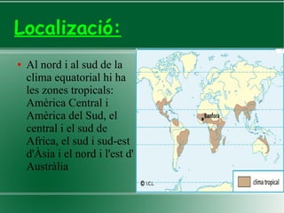 Localizació:
● Al nord i al sud de la
clima equatorial hi ha
les zones tropicals:
Amèrica Central i
Amèrica del Sud, el
central i el sud de
Africa, el sud i sud-est
d'Àsia i el nord i l'est d'
Austràlia
 
