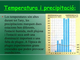 Temperatura i precipitació:
● Les temperatures són altes
durant tot l'any, les
precipitacions marquen dues
estacions ben diferents,
l'estació humida, molt plujosa
i l'estació seca amb una
disminució important o una
falta de pluges .A l'època de
pluges experimenten grans
crescudes que poden provocar
inundacions.
 