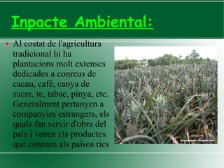 Inpacte Ambiental:
● Al costat de l'agricultura
tradicional hi ha
plantacions molt extenses
dedicades a conreus de
cacau, cafè, canya de
sucre, te, tabac, pinya, etc.
Generalment pertanyen a
companyies estrangers, els
quals fan servir d'obra del
país i venen els productes
que conreen als països rics
 