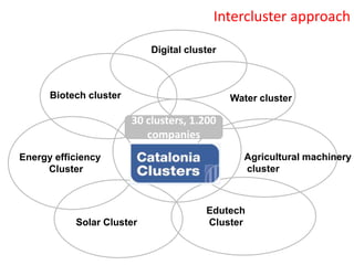 Biotech cluster
Agricultural machinery
cluster
Solar Cluster
Energy efficiency
Cluster
Edutech
Cluster
Water cluster
Intercluster approach
30 clusters, 1.200
companies
Digital cluster
 