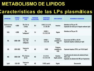 z METABOLISMO DE LI PIDOS Características de las LPs plasmáticas Hígado  Intestino, hígado, plasma Producto catabólico de VLDL Producto catabólico de VLDL Hígado Intestino SITIO DE SÍNTESIS LIPOPROTEINA  DENSIDAD [g/ ml] COMPONENTE  LIPIDO PROPORCION TGs:COLESTEROL  APOPROTEINAS IMPORTANTES MECANISMOS DE DEGRADACION  Quilomicrones y residuos <1.006 TGs, Col. de la dieta 10:1 B-48, E, A-I, A-IV, C-I, CII, CIII Hidrólisis de TGs por LPL Captación de restos por el hígado mediante ApoE VLDL <1.006 TGs “endógenos” 5:1 B-100, E,  C-I, C-II, C-III Hidrólisis de TGs por LPL IDL 1.006–1.019 Esteres de Col. y TGs endógenos 1:1 B-100, E,  C-II, C-III Conversión del 50% en LDL-HL Captación hepática mediada por ApoE LDL 1.019-1.063 Esteres de Col. NS B-100 Captación hepática (75%)  por R-LDL (ApoE) HDL 1.063-1.210 FFLs, Esteres de Col. NS A-I, A-II, E,  C-I, C-II, C-III Transferencia de ésteres de colesterol hacia VLDL y LDL Captación de colesterol de HDL por hepatocitos Lp(a) 1.05-1.09 Esteres de Col.  NS B-100, apo(a) Desconocido 