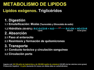 METABOLISMO DE LIPIDOS Lípidos exógenos.  Triglicéridos   1. Digestión 1.1  Emulsificación:  Micelas  (Taurocolato y Glicocolato de sodio) 1.2   Hidrólisis   (50-60%) :  R-C-O-CO-R + H 2 O   R-C-OH + HO-CO-R Lípido  Glicerol  Acido graso 2. Absorción 2.1  Paso al enterocito 2.3  Resíntesis y formación de quilomicrones 3. Transporte 3.1   Conducto torácico y circulación sanguínea 3.2  Circulación porta Ingesta oral:  80-150 g/dia de triglicéridos y de 300-600 mg/dia de colesterol  (35-50% de las calorías como grasa) Producción   hepática:  1-2 g/dia  (aumenta 2-4 veces con dietas altas en carbohidtratos)  LP 