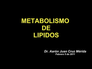 METABOLISMO  DE LIPIDOS Dr. Aar ón Juan Cruz Mérida Febrero 5 de 2011 