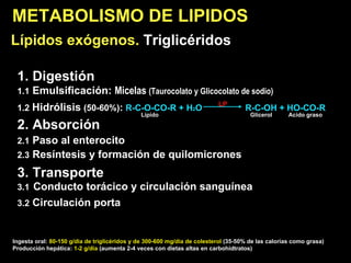 METABOLISMO DE LIPIDOS Lípidos exógenos.  Triglicéridos   1. Digestión 1.1  Emulsificación:  Micelas  (Taurocolato y Glico...
