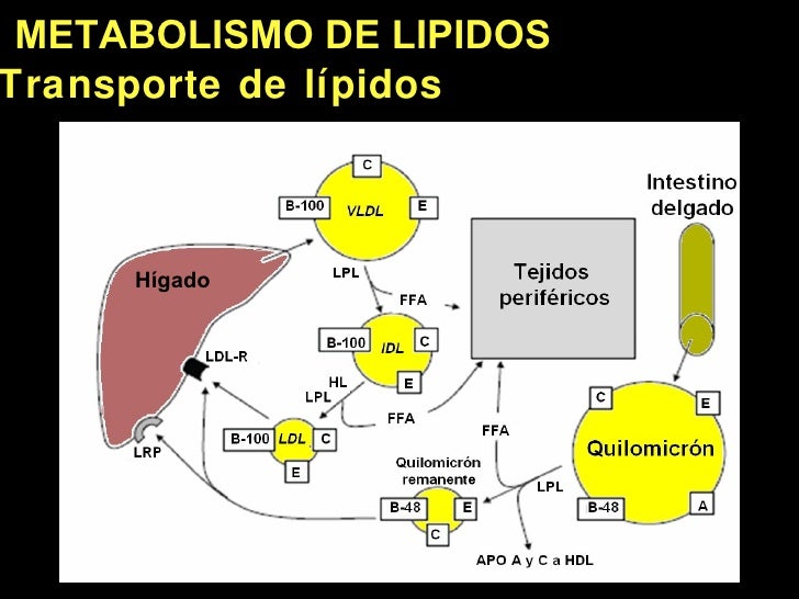 Mejor medicina para dolor de espalda al respirar