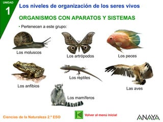 UNIDAD
1
Ciencias de la Naturaleza 2.º ESO
ORGANISMOS CON APARATOS Y SISTEMAS
Los niveles de organización de los seres vivos
Los moluscos
Los artrópodos Los peces
Los anfibios
Las aves
Los mamíferos
• Pertenecen a este grupo:
Los reptiles
Volver al menú inicial
 