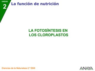 UNIDAD

2

La función de nutrición

LA FOTOSÍNTESIS EN
LOS CLOROPLASTOS

Ciencias de la Naturaleza 2.º ESO

 