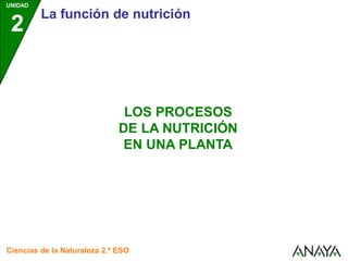 UNIDAD
2
La función de nutrición
Ciencias de la Naturaleza 2.º ESO
LOS PROCESOS
DE LA NUTRICIÓN
EN UNA PLANTA
 