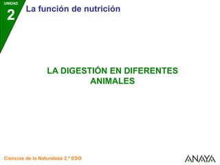 UNIDAD
2
La función de nutrición
Ciencias de la Naturaleza 2.º ESO
LA DIGESTIÓN EN DIFERENTES
ANIMALES
 