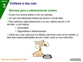 UNIDADE 
3 
Coñece o teu can 
Normas para o adestramento canino 
 O can é un animal afeito a vivir en mandas. 
 Un can mal adestrado tratará de asumir o rol de líder. 
 Para adestrar adecuadamente a un can, debes asumir o rol 
de líder, o cal implica: 
 Autoridade 
 Seguridade e determinación 
 Unha vez o can note que ti o lideras, asumirá o seu rol na manda, e, 
libre das responsabilidades de ser o líder, será un can máis feliz. 
Ciencias da Natureza 2.º ESO 
 