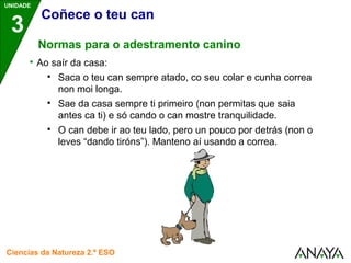UNIDADE 
3 
Coñece o teu can 
Normas para o adestramento canino 
 Ao saír da casa: 
 Saca o teu can sempre atado, co seu colar e cunha correa 
non moi longa. 
 Sae da casa sempre ti primeiro (non permitas que saia 
antes ca ti) e só cando o can mostre tranquilidade. 
 O can debe ir ao teu lado, pero un pouco por detrás (non o 
leves “dando tiróns”). Manteno aí usando a correa. 
Ciencias da Natureza 2.º ESO 
 