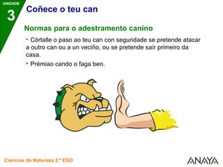 UNIDADE 
3 
Coñece o teu can 
Normas para o adestramento canino 
 Córtalle o paso ao teu can con seguridade se pretende atacar 
a outro can ou a un veciño, ou se pretende saír primeiro da 
casa. 
 Prémiao cando o faga ben. 
Ciencias da Natureza 2.º ESO 
 