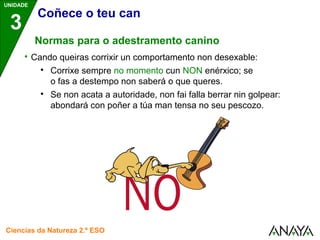 UNIDADE 
3 
Coñece o teu can 
Normas para o adestramento canino 
 Cando queiras corrixir un comportamento non desexable: 
 Corrixe sempre no momento cun NON enérxico; se 
o fas a destempo non saberá o que queres. 
 Se non acata a autoridade, non fai falla berrar nin golpear: 
abondará con poñer a túa man tensa no seu pescozo. 
Ciencias da Natureza 2.º ESO 
 