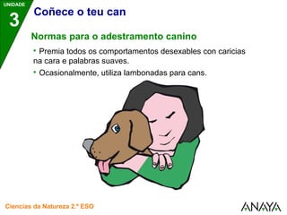 UNIDADE 
3 
Coñece o teu can 
Normas para o adestramento canino 
 Premia todos os comportamentos desexables con caricias 
na cara e palabras suaves. 
 Ocasionalmente, utiliza lambonadas para cans. 
Ciencias da Natureza 2.º ESO 
 