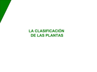 LA CLASIFICACIÓN
DE LAS PLANTAS
 