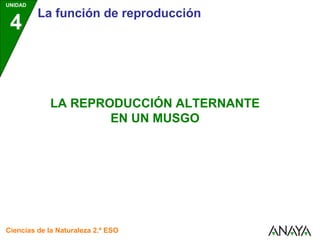 UNIDAD
         La función de reproducción
 4


             LA REPRODUCCIÓN ALTERNANTE
                     EN UN MUSGO




Ciencias de la Naturaleza 2.º ESO
 