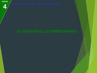 UNIDAD
4
La función de reproducción
EL DESARROLLO EMBRIONARIO
 