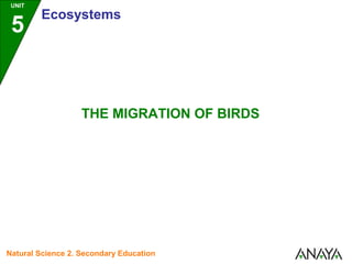 UNIT

5

Ecosystems

THE MIGRATION OF BIRDS

Natural Science 2. Secondary Education

 