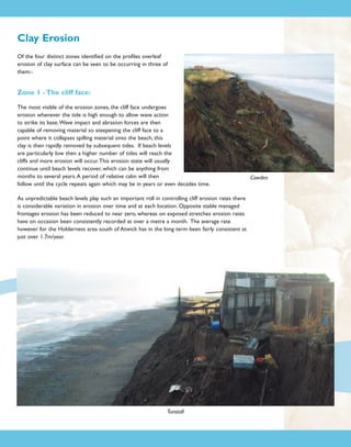 Clay Erosion
Of the four distinct zones identified on the profiles overleaf
erosion of clay surface can be seen to be occurring in three of
them:-

Zone 1 - The cliff face:
The most visible of the erosion zones, the cliff face undergoes
erosion whenever the tide is high enough to allow wave action
to strike its base.Wave impact and abrasion forces are then
capable of removing material so steepening the cliff face to a
point where it collapses spilling material onto the beach, this
clay is then rapidly removed by subsequent tides. If beach levels
are particularly low then a higher number of tides will reach the
cliffs and more erosion will occur.This erosion state will usually
continue until beach levels recover, which can be anything from
months to several years. A period of relative calm will then
follow until the cycle repeats again which may be in years or even decades time.
As unpredictable beach levels play such an important roll in controlling cliff erosion rates there
is considerable variation in erosion over time and at each location. Opposite stable managed
frontages erosion has been reduced to near zero, whereas on exposed stretches erosion rates
have on occasion been consistently recorded at over a metre a month. The average rate
however for the Holderness area south of Atwick has in the long term been fairly consistent at
just over 1.7m/year.

Tunstall

Cowden

 