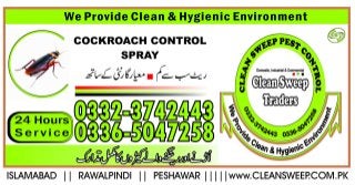 kitchen cockroach spray company islamabad 
